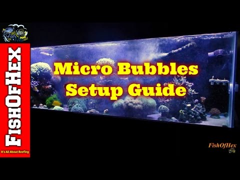 Setting Up Micro Scrubbing Bubbles In A Reef Tank