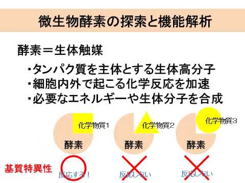 研究室「応用微生物学」【農芸化学コース】農林海洋科学部