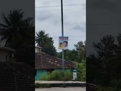 #naturelovers #nature #green #cover #relaxing