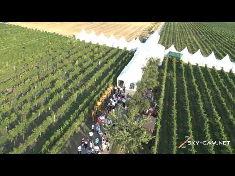 Die Burgundermacher Laue Nacht_Laurent Nacht 2013