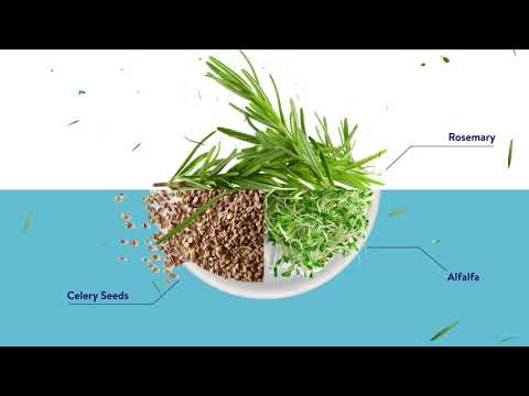 Bright Blue Media video.