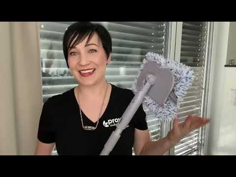 Fenster putzen mit proWIN Teil 2