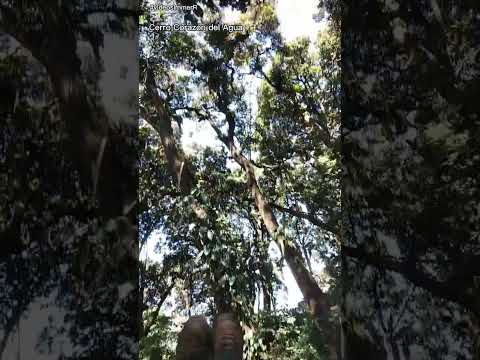 Cerro Corazón del Agua