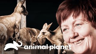 Thumbnail del capítulo