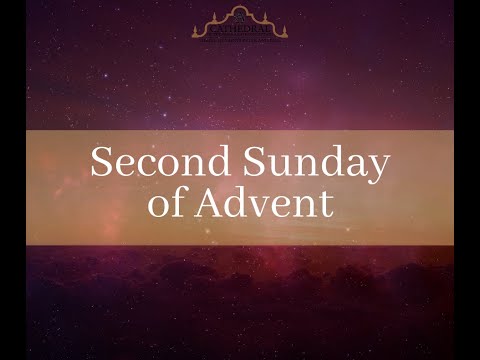 Click to Watch the Celebrate Sunday Mass - Second Sunday of Advent - 12.5.21 video
