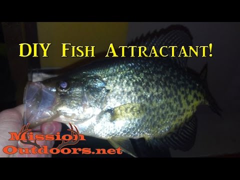 DIY Fish Attractant! - MissionOutdoors.Net