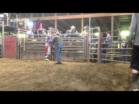 Buck Wild - starring "smackin dat bulls hide" Cody Hughes