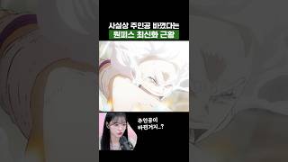 최신화) 사실상 주인공 바꼈다는 원피스 최신화 근황 #원피스