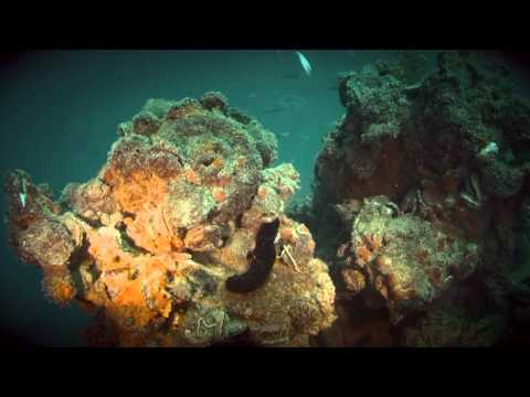 Video Quintino Sella
