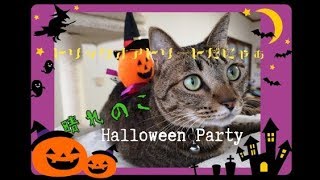 20181028晴れのこハロウィンパーティ２枠目
