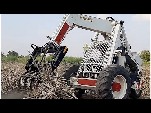 Sugarcane Loader Grabber Loading Cane in Two Truck SugarCane Havester Machine SugarCane Excavator