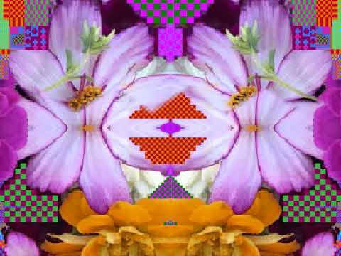 What Is Meant Will Be - Gene Clark