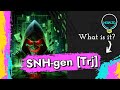 Script SNH Gen Trj Malware Explained Removal Guide