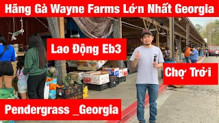 Tìm Đến Tận Nơi Hãng Gà (Wayne Farms) Người Việt Muốn Làm Lao Động Eb3.#221