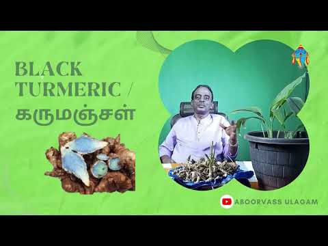 BLACK TURMERIC / கருமஞ்சள் / ABOORVASS ULAGAM