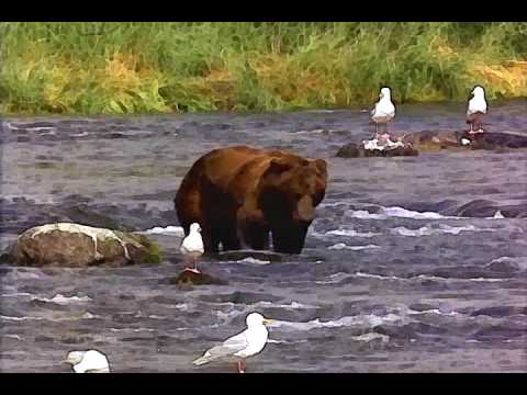 MIX 2009 - MY EVERTING FT EL BOYS-C Y LIL SHANY