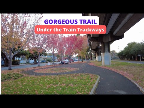 [4K] Walking OHLONE GREENWAY TRAIL & PARK from North Berkeley to  Albany
