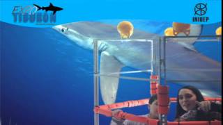 DIA 3 Expo Tiburon167