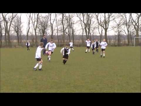 Zeevogels E3 doelpunt van de week