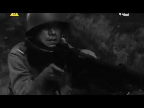 Tormentia  -Żołnierz Westerplatte