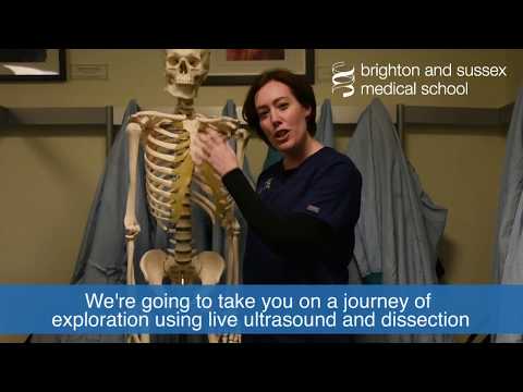 Dr Claire Smith previews her Brighton Fringe Festival event