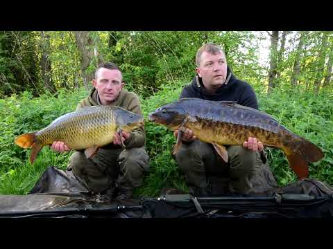 Catch carp like a world champion 🏆|| Carp Fishing 2018