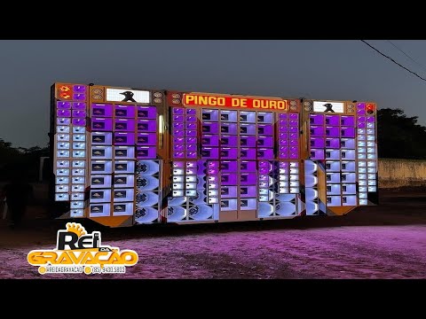 LAGOSTA BRONZEADA RARIDADE TOP - Rei da Gravação