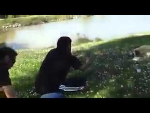 روعوه وهو يصور الكلب