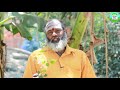 இலந்தை இலையின் அசர வைக்கும் பயன்கள் �