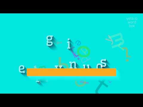 How to say "perigynous"! (High Quality Voices)