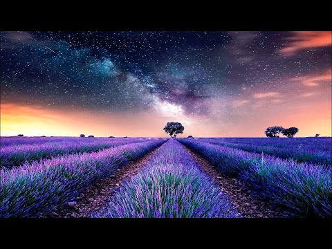 Primordial Soup ✨ Ambient Space Music • Deep Relaxation Space Journey #82