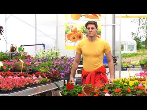 Promo video Vrtnarstva Alt