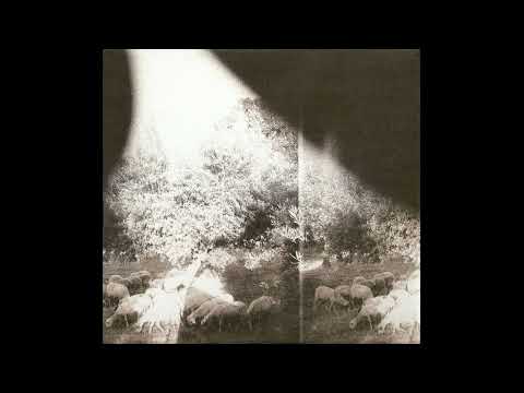 Peasantry or ‘Light! Inside of Light!’