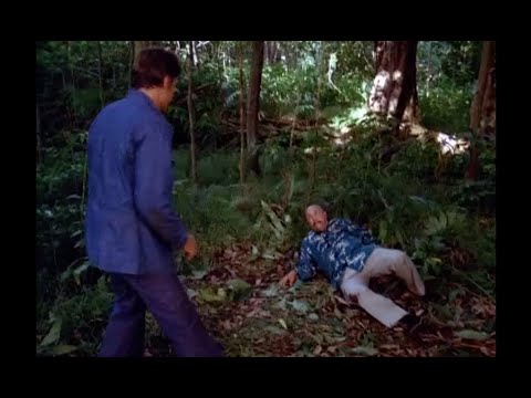 McGarrett Busts Wo Fat in Final Scene of Hawaii Five-0 Original Series - 1980