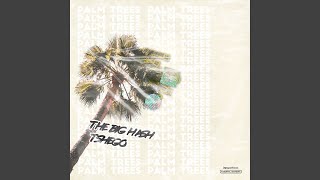 Palm Trees Music Video