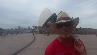 Steve Kilbey in Sydney for Sydney Rococo album launch Nov 23 2018