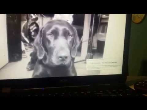 Gibson's Memorial Frozen in time