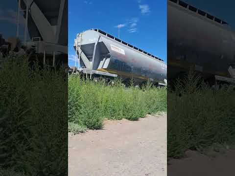 la 9010 pasando por gral. fernandez Oro..rio negro..graba santino villarruel🥰