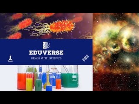 Introduction to Eduverse