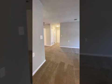 1BD/1BA 704 SQFT Apartment - 802