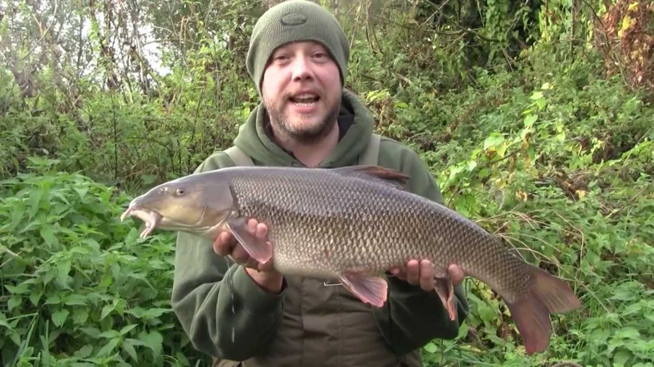 Sam Meeuwissen on Barbel