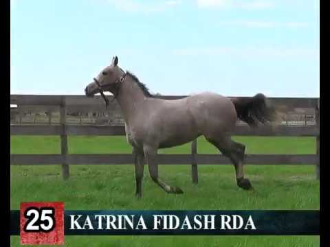 Lote 25- KATRINA FIDASH RDA -- RINCON DEL AGUARA – LOS MONTEROS - 2017