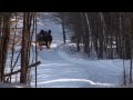 Sleigh Ride sung by Andy Williams (HD) 