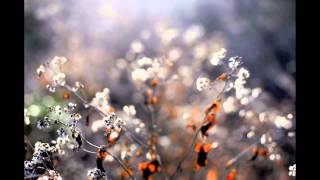 Infinity Crush - All Your Pretty Pictures