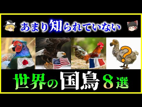 コニーザ・カナデンシス