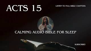 Acts 15 - Book of Acts Audio Bible from New International Version (NIV).