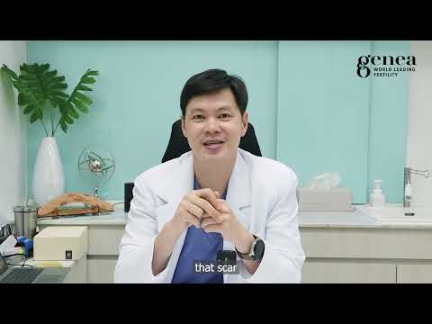 Dr. Pokpong's Infertility Q&A: Everything You Need to Know