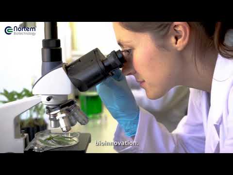 Video aziendale Nortem BioGroup