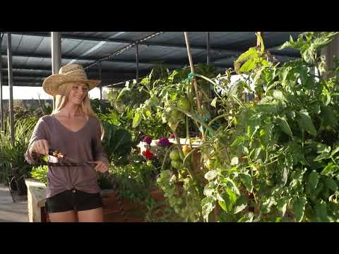 Copper Bullet 100' Hose