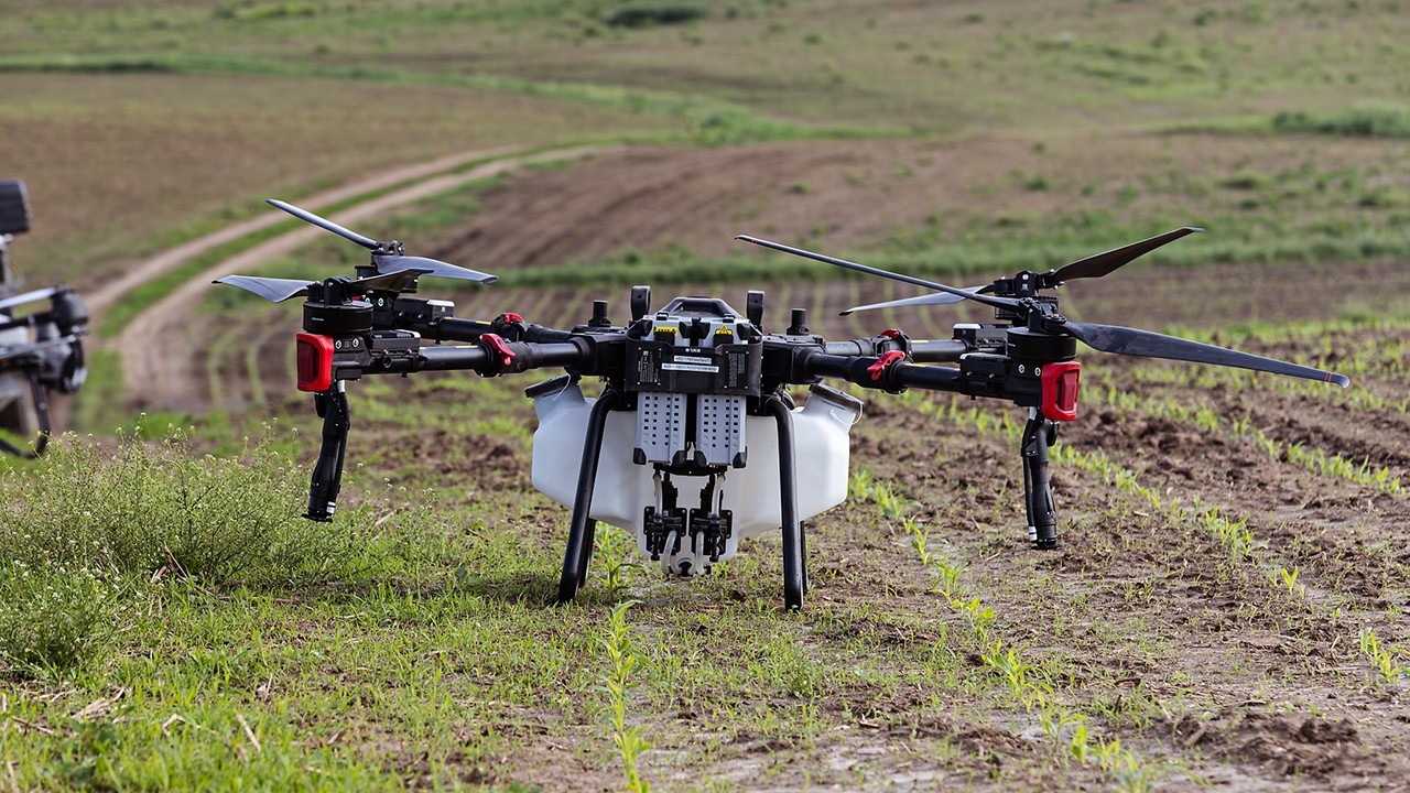 Spraying First Pass With Three Drones! | XAG P100, DJI T50 & T40